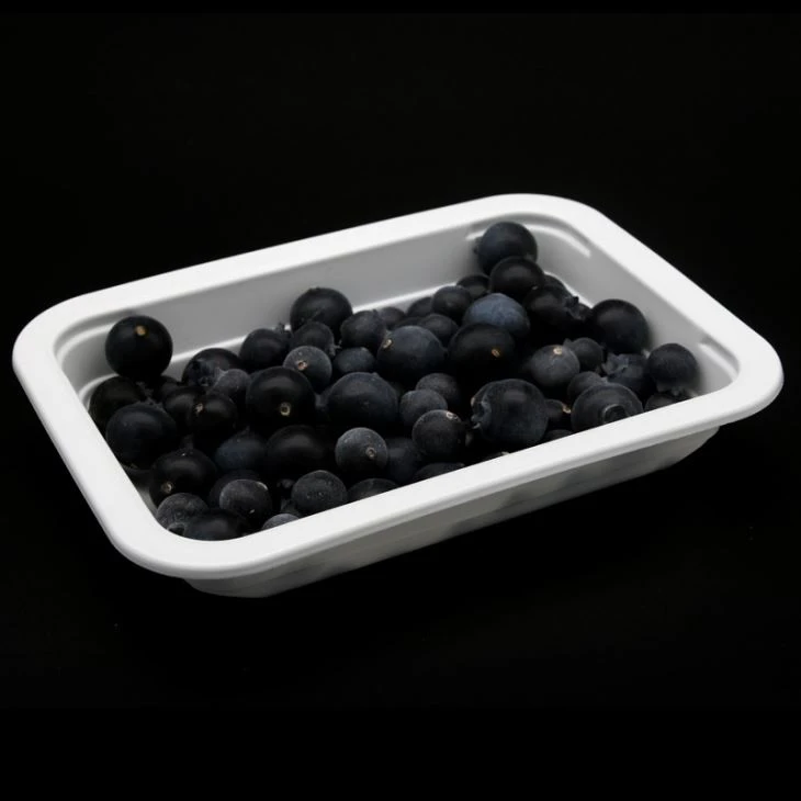 Food Tray For Meat/vegetable/fruit