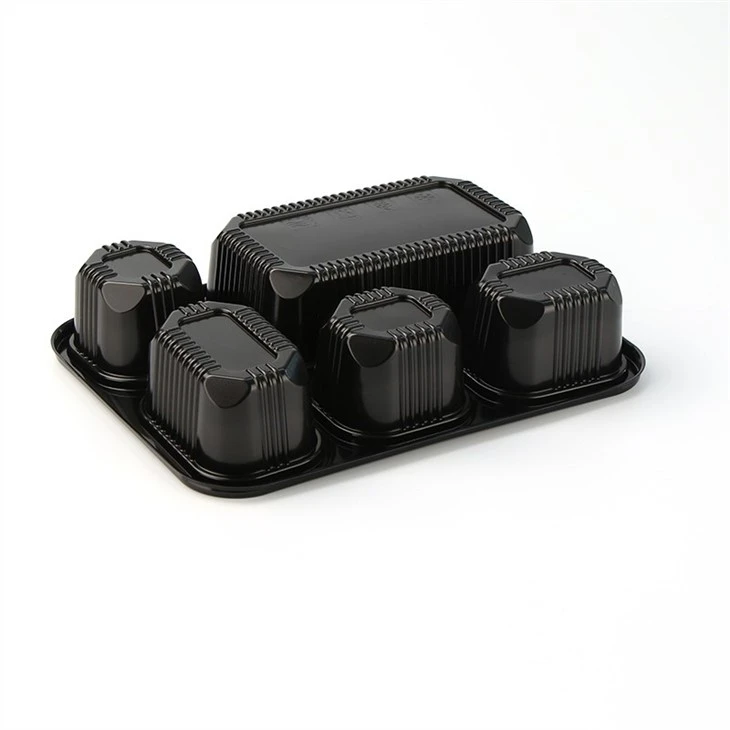 5 Compartment Plastic Bento Lunch To Go Box