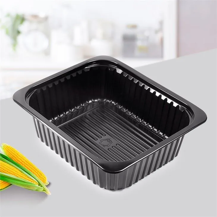 Engangs PP Plastic Big Hot Food Tray