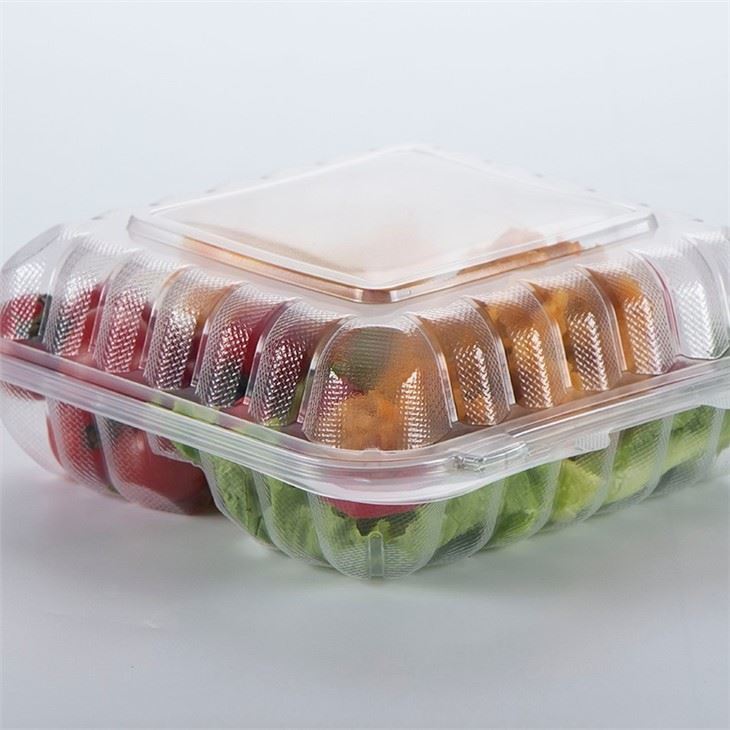 8x8inch Clear Plastic PP Hinged Take-Out Containers