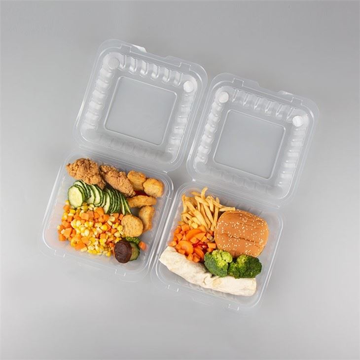 Clear Plastic Food Container