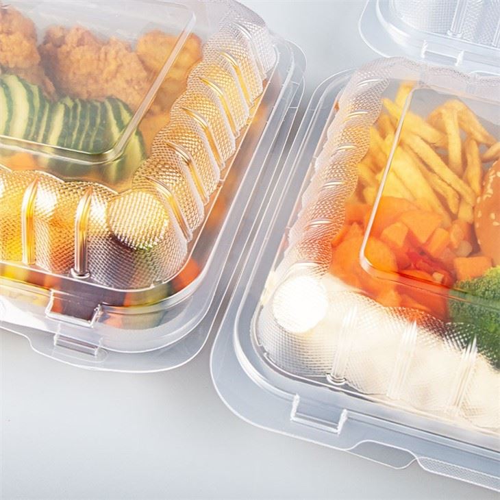 Clear Plastic Food Container