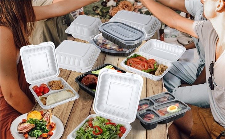 Disposable Eco Friendly Lunch Boxes