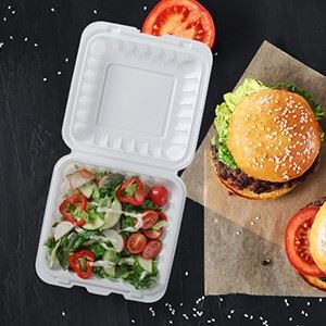 Disposable Eco Friendly Lunch Boxes