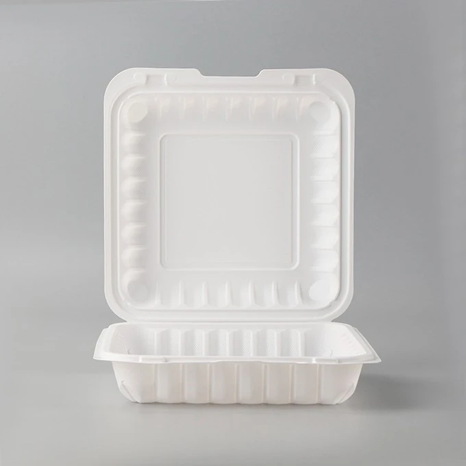 Lunch Box Kids