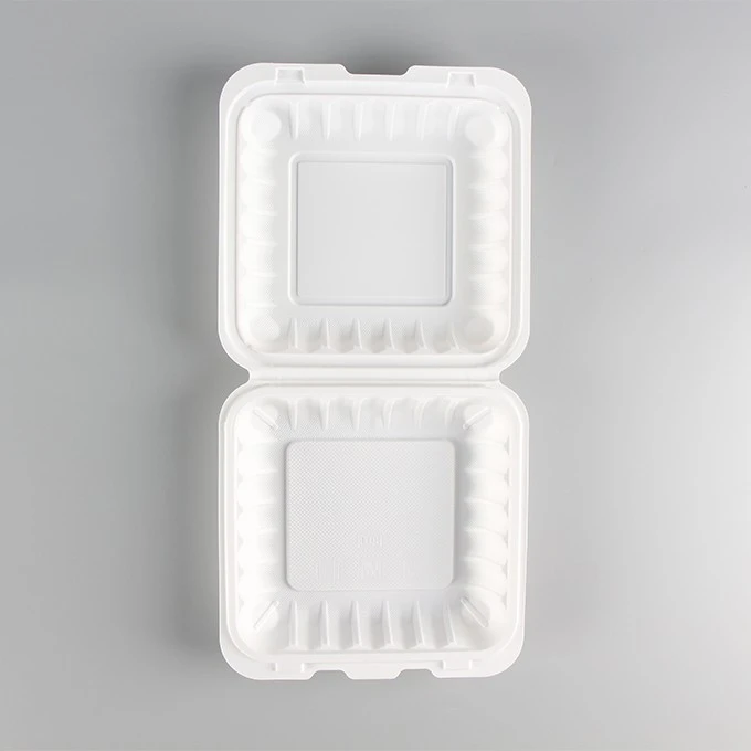 Plastic Lunch Box