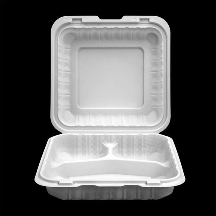 Plastic Takeaway Food Box