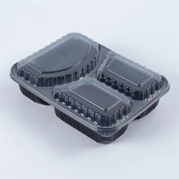 2 Compartment Plastic Takeout Bento Boxes