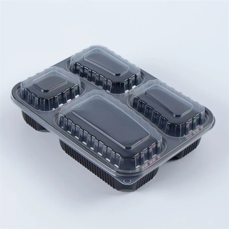 2 Compartment Plastic Takeout Bento Boxes