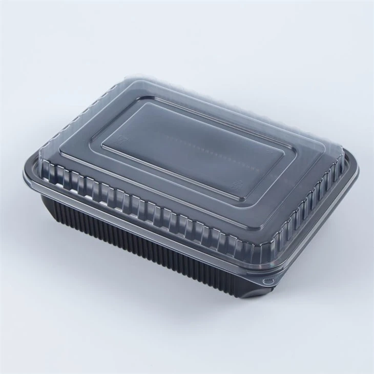 2 Compartment Plastic Takeout Bento Boxes