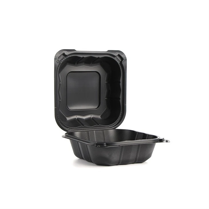 To Go Containers Plastic Box