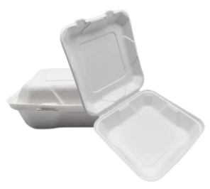 9'' Bagasse To Go Food Containere