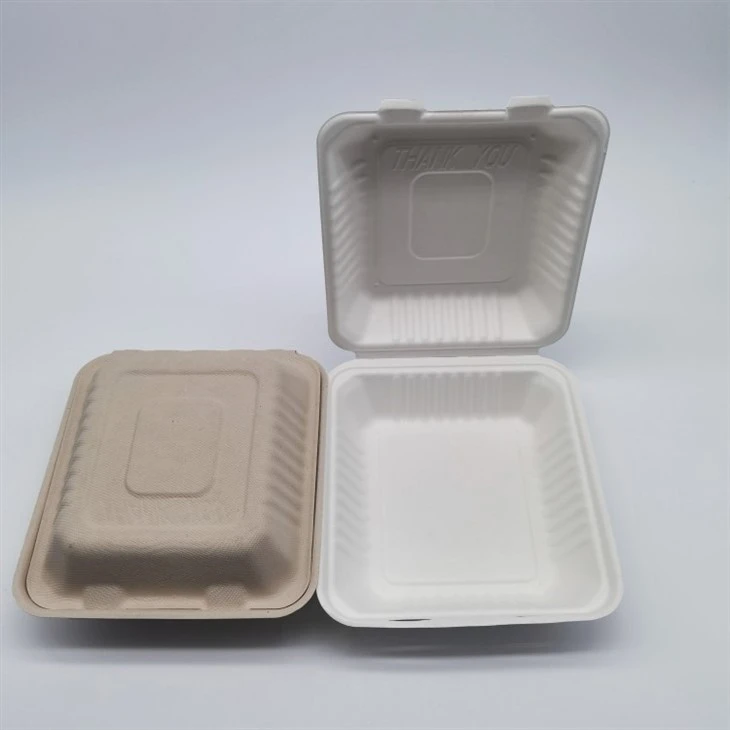 Biodegradable Sugarcane Bagasse Fibre Pulp Paper Takeout Container