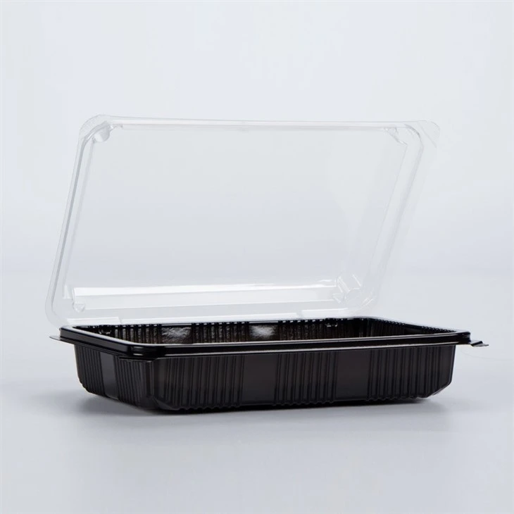Rectangular Food Storage Container