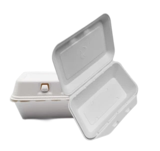 Til Go Containere Bagasse