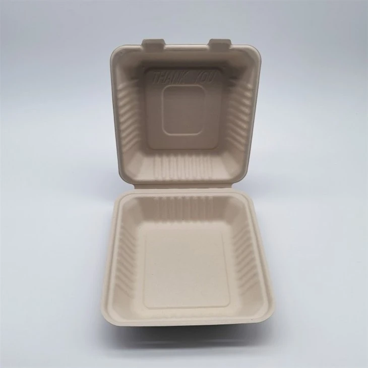 Sugarcane Bagasse Biodegradable Take Away Food Containers