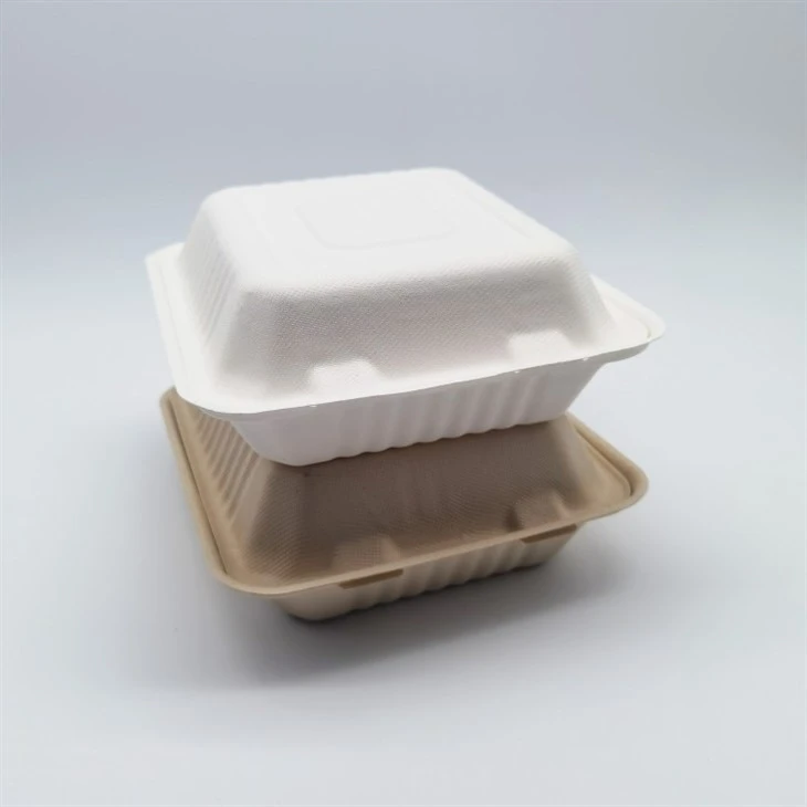 Sugarcane Bagasse Biodegradable Take Away Food Containers