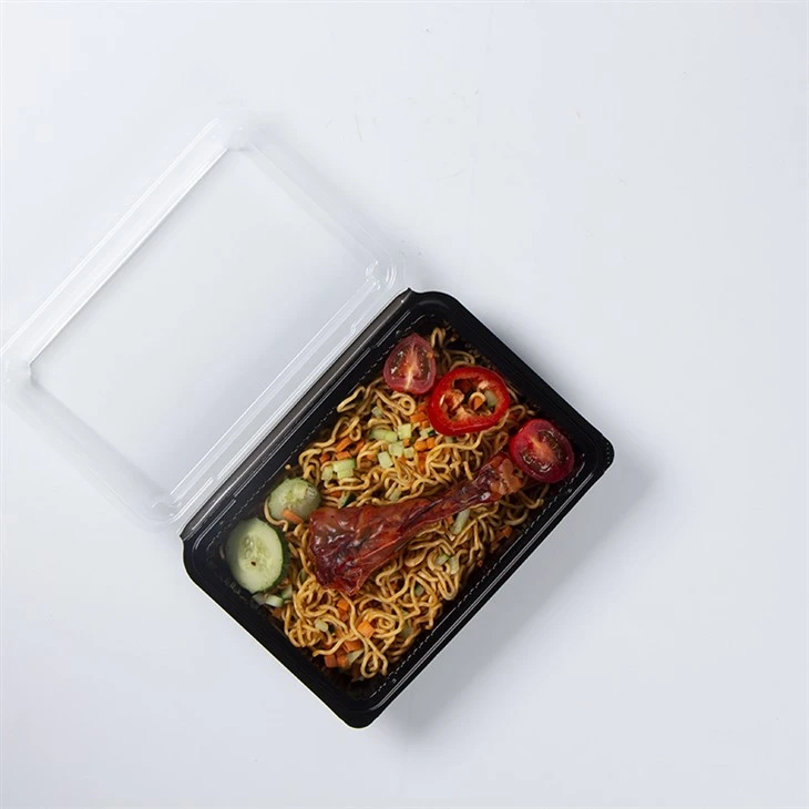 Sushi Take Away Food Container