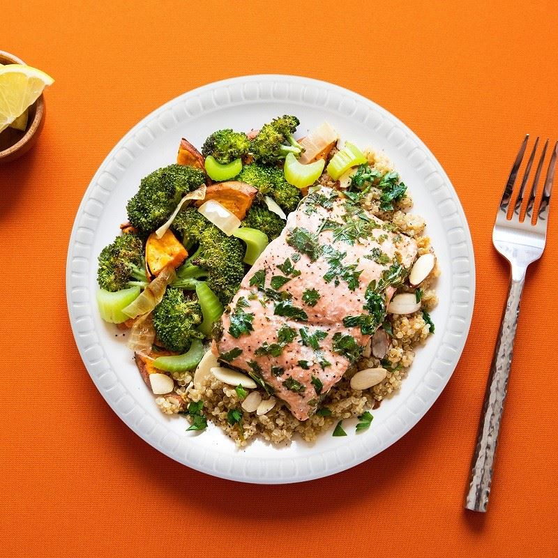 Dinner Plate