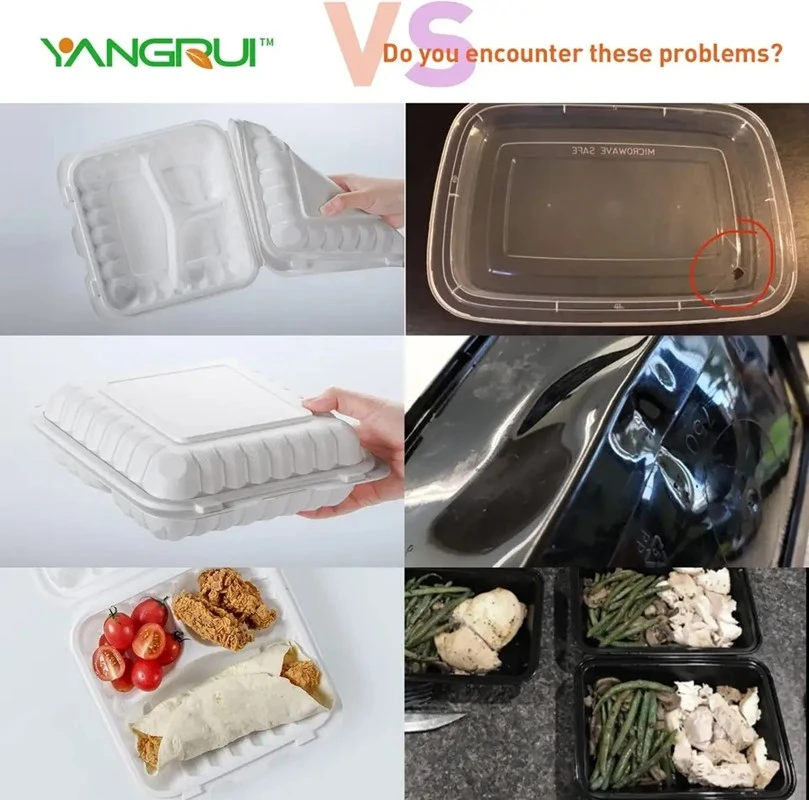 Food To Go Container best