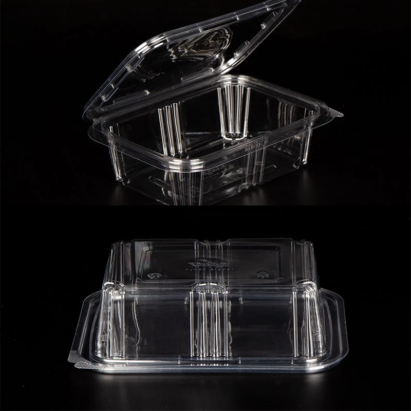 PET Berry Packaging Boxes