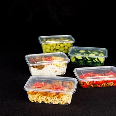 Plastic Carry Out Containers Prisfastsættelse Arkitektur