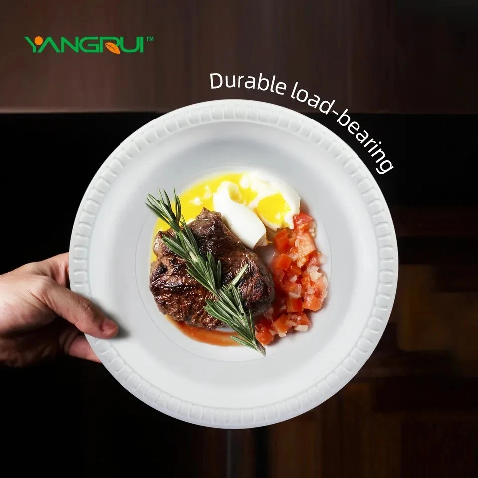 Party Disposable Plastic Plates Party Disposable Plastic Plates