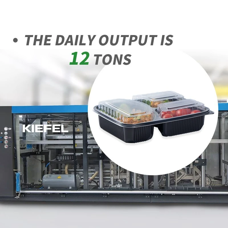 To Go Boxes With Compartments price